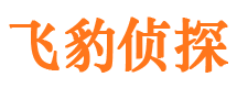 海港外遇调查取证